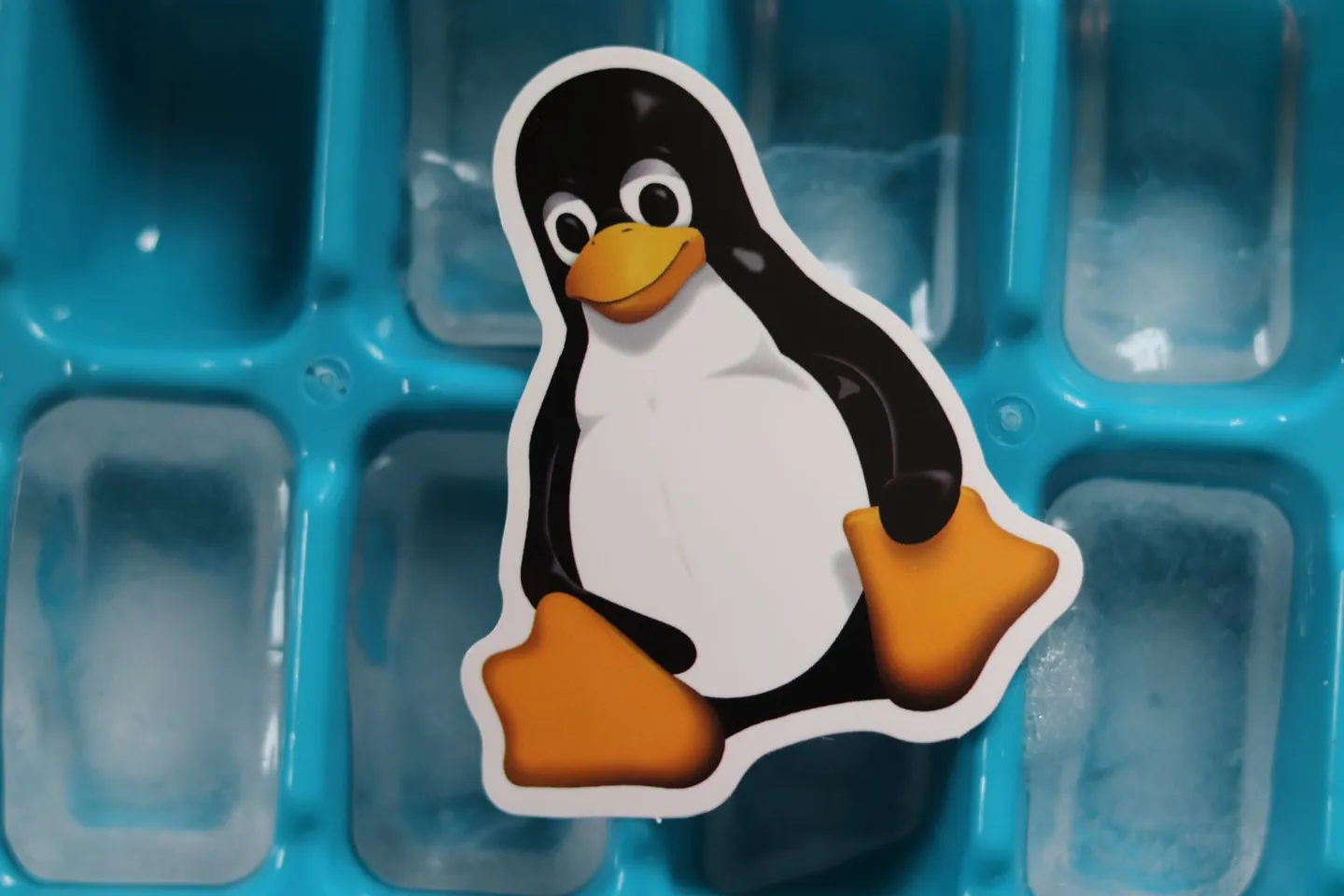 Наклейка с пингвином Tux, символом Linux, на крышке ноутбука